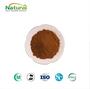 Factory Supply Fermented Black Garlic Extract Powder Food Grade Healthcare 