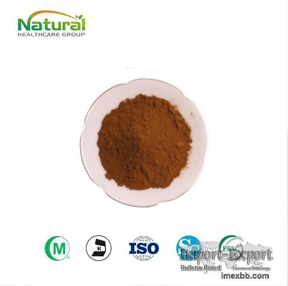 Factory Supply Fermented Black Garlic Extract Powder Food Grade Healthcare 