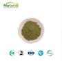 Raw Broccoli Powder