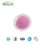 Strawberry Flavor Powder Spray Dried Strawberry Fruit Powder