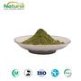 Barley Grass Juice Extract Powder Organic Young Barley Grass Powder