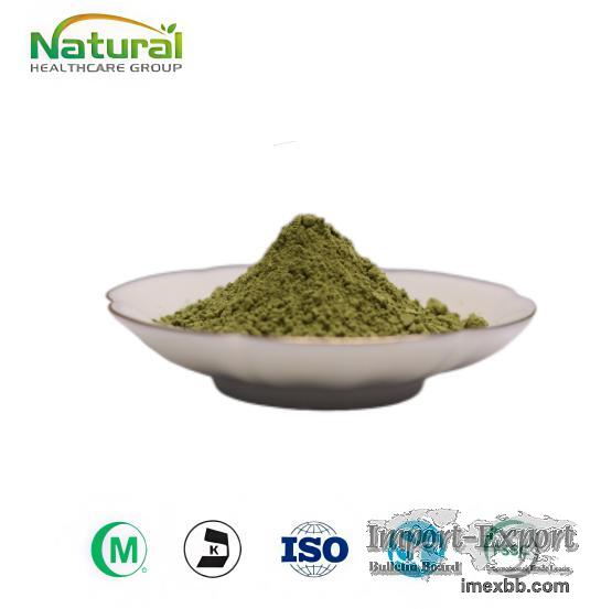 Barley Grass Juice Extract Powder Organic Young Barley Grass Powder