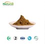 Factory Supply Milk Thistle Extract Powder 80% Silymarin Liver Support Raw
