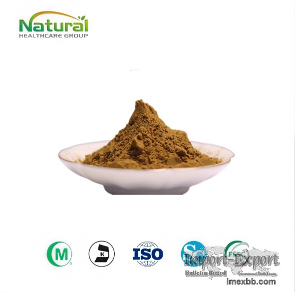 Factory Supply Milk Thistle Extract Powder 80% Silymarin Liver Support Raw 