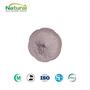 Food Grade 99% Vitamin B6 Powder Pyridoxine Hydrochloride For Health Supple