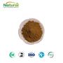 Factory Supply Pure Aloe Vera Extract Aloin 10%-98% Cosmetic & Food Grade R