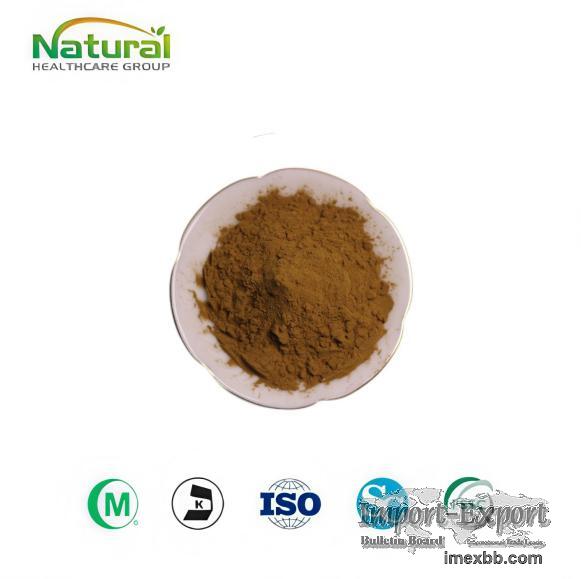 Factory Supply Pure Aloe Vera Extract Aloin 10%-98% Cosmetic & Food Grade R