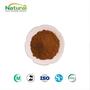 Wholesale Bulk Natural Green Tea Extract Powder 98% Tea Polyphenols Food Gr