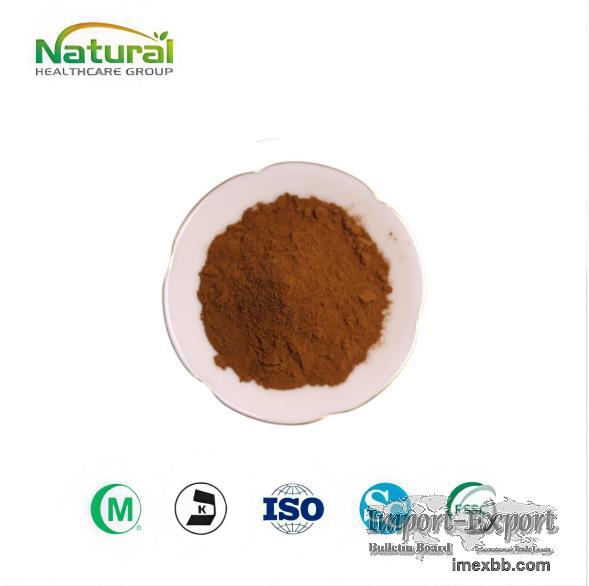 Wholesale Bulk Natural Green Tea Extract Powder 98% Tea Polyphenols Food Gr