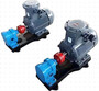 2CY Gear oil transfer booster pump