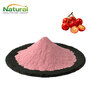 Acerola Juice Powder Natural Vitamin C Fruit Powder For Dietary Supplement