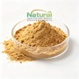 natural ginger root extract gingerols 5% 20%