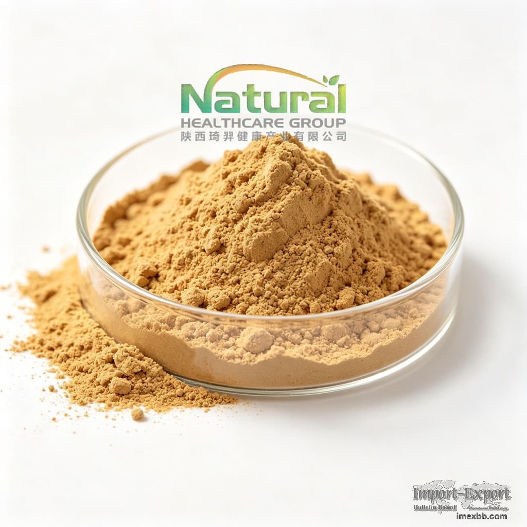 natural ginger root extract gingerols 5% 20%