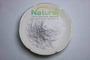 Bulk L-Theanine Powder 98% Food Grade Supplement Raw Material