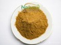 Natural Mango Extract & Mango Fruit Powder Water Soluble Raw Material