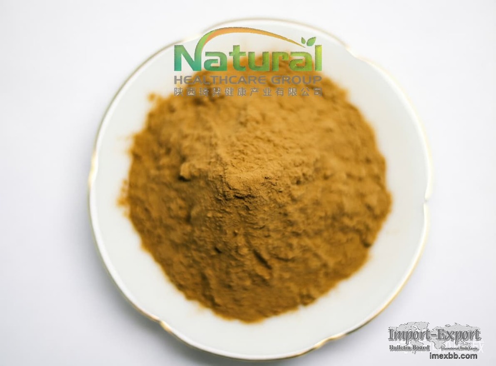 Natural Mango Extract & Mango Fruit Powder Water Soluble Raw Material