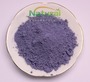 Natural Butterfly Pea Extract & Butterfly Pea Flower Powder Water Soluble B