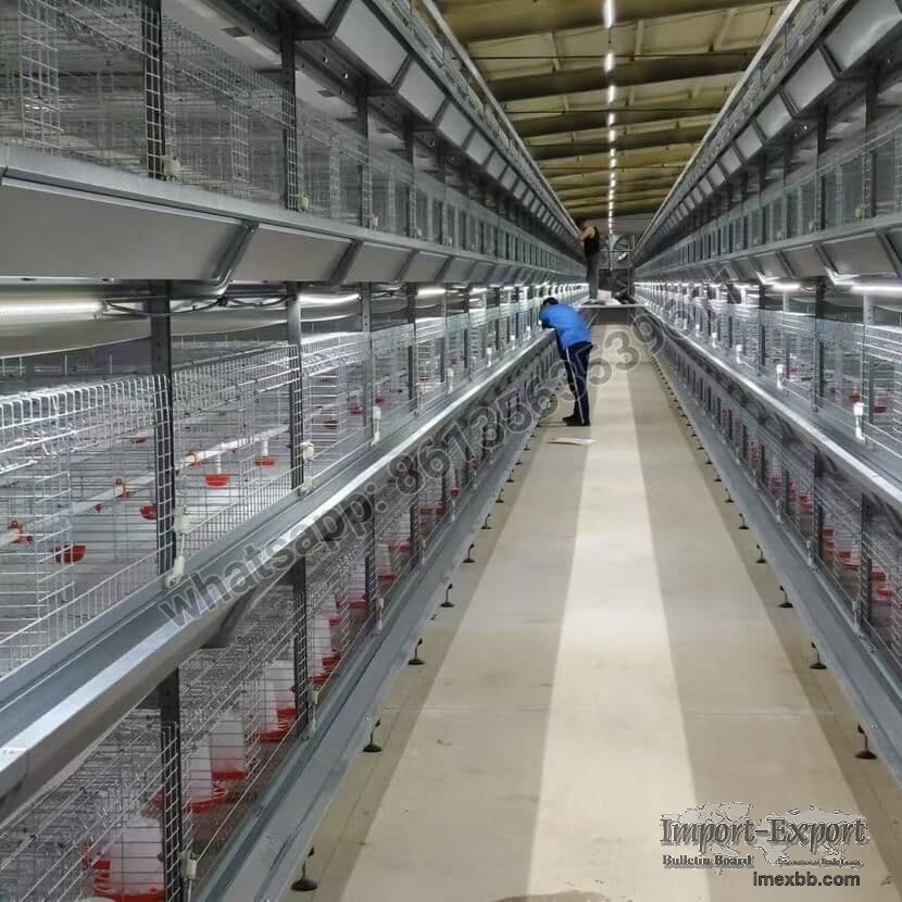 H Type Full Automatic Pullet Cage