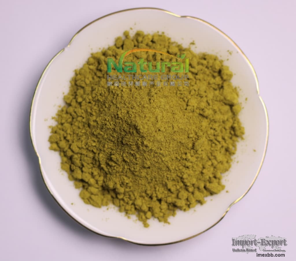 Hydroxytyrosol 20% Olive Leaf Extract Powder