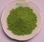 Spinach Leaf Powder Natural Spinach Extract Powder