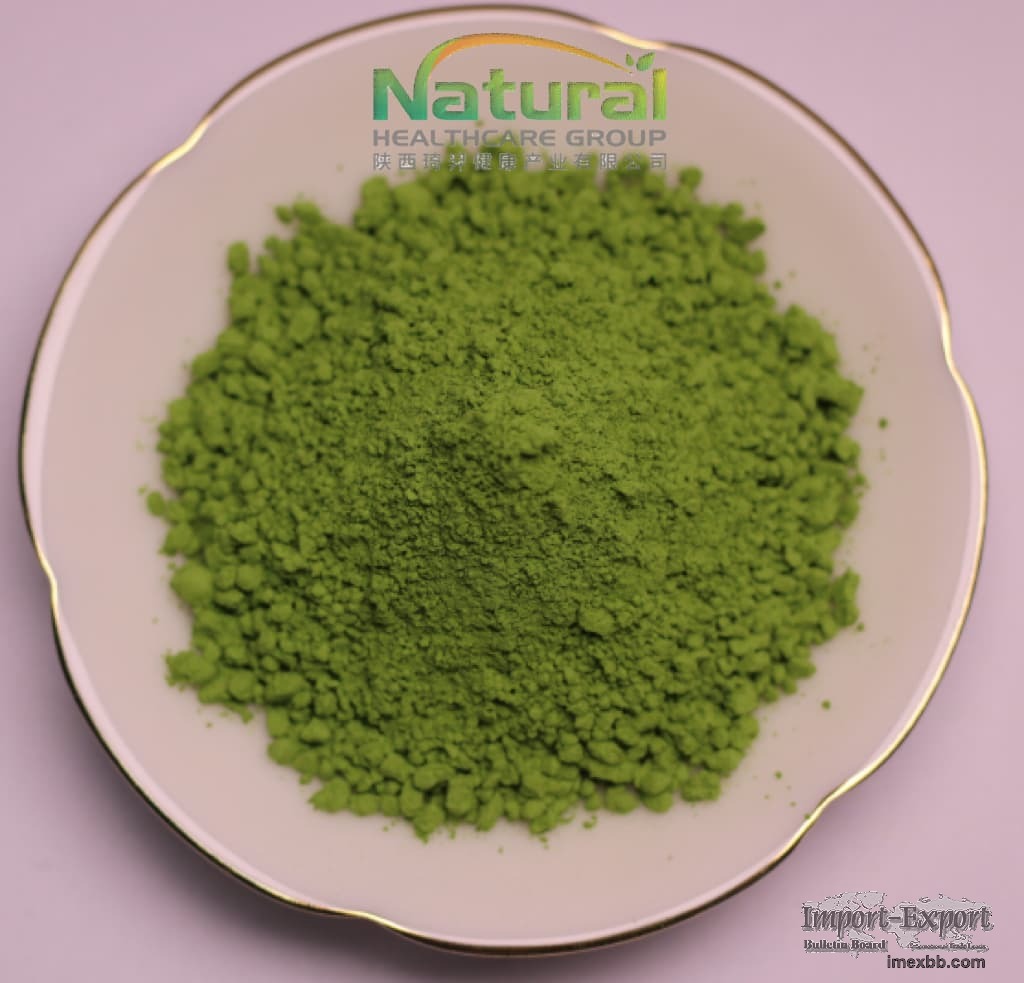 Spinach Leaf Powder Natural Spinach Extract Powder