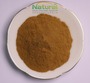 Natural Sambucus Nigra Extract Elderberry Extract Powder Food Grade Raw Mat