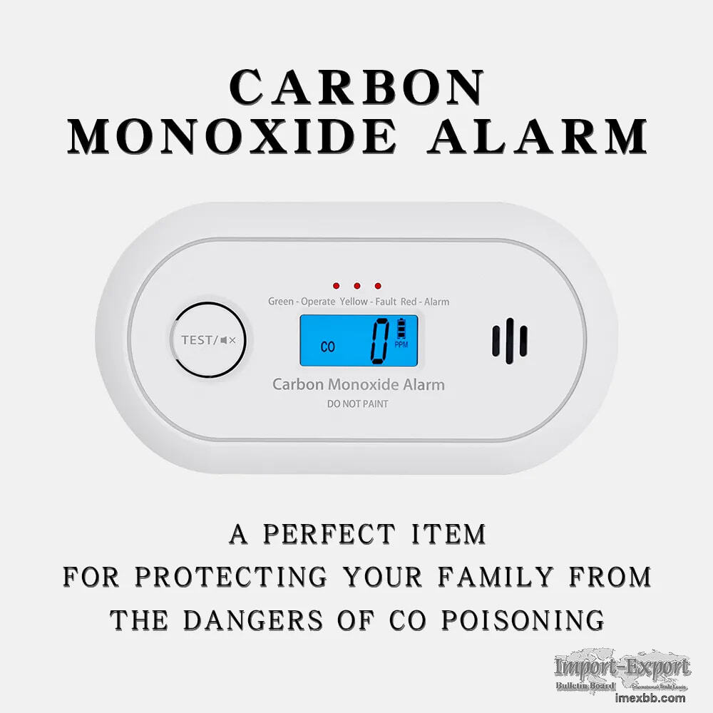 Portable Carbon Monoxide Detector