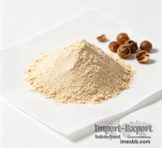  High Purity Hericenones Lion's Mane Extract Powder 10:1 / 20:1 Water Solub