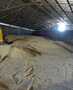 Soybean Meal
