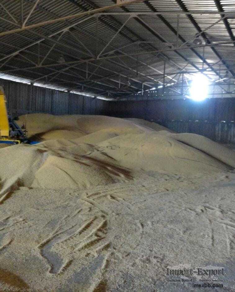 Soybean Meal