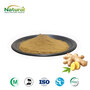 Supply Ginger Rhizome Powder, Natural Food Grade Plant Extract