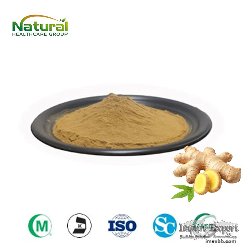 Supply Ginger Rhizome Powder, Natural Food Grade Plant Extract