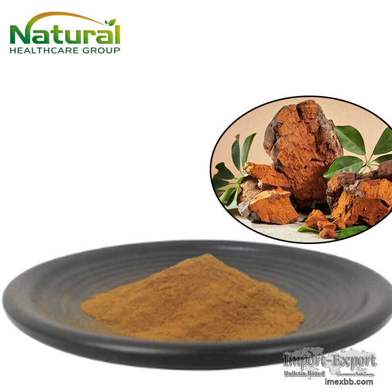 Organic Chaga Mushroom Extract, Inonotus Obliquus Extract for Dietary Suppl