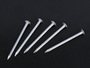 Common Nails