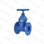 Rising Stem Resilient Seated Gate Valve