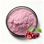 Acerola Cherry Extract Powder Natural Fruit Extract 17% 25% Vitamin C VC Po