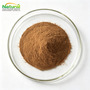 Bacopa Monnieri Extract Powder 10:1 20:1 Brahmi Herb Extract Natural Plant 