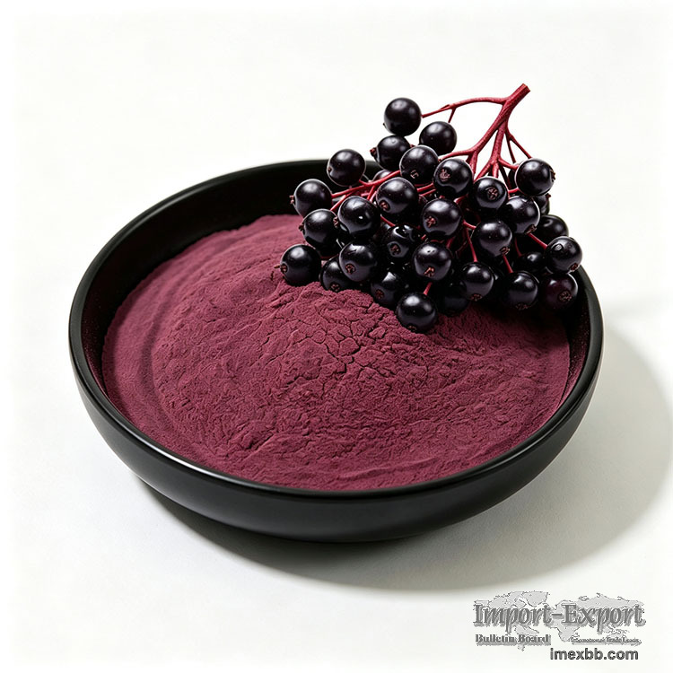 Sambucus Nigra Elderberry Extract 5% 10% 25% Anthocyanins Natural Elderberr