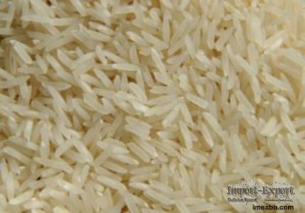 Rice IRRI-6