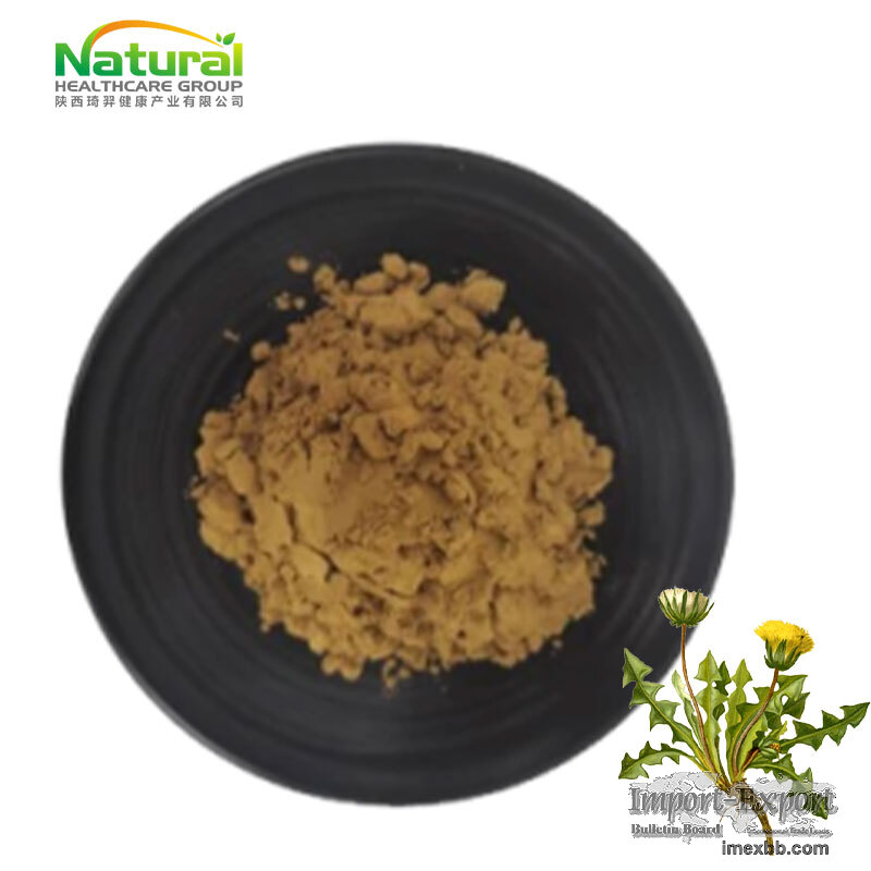 Dandelion Root Extract 5% Flavonoids – 80 Mesh, Factory Direct