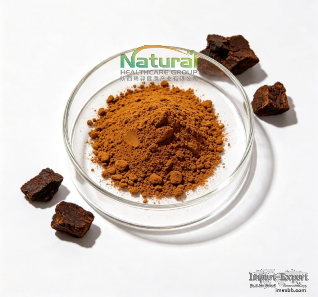 Chaga Mushroom Extract 30% Polysaccharides Inonotus Obliquus Powder