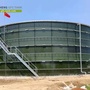 GFS Anaerobic Digester Tank for Agricultural Biogas Plant