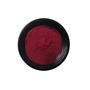  Bilberry Extract Vaccinium Myrtillus 25% Anthocyanin Natural Fruit Ext
