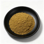 Bulk Andrographis Paniculata Extract 5% Andrographolide Kalmegh Extract For