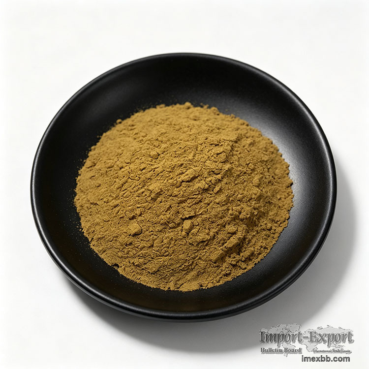 Bulk Andrographis Paniculata Extract 5% Andrographolide Kalmegh Extract For