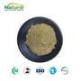 Saw Palmetto Powder Serenoa Repens Fruit Powder Food Cosmetic Grade