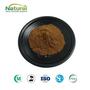 Green Tea Extract Powder Camellia Sinensis Leaf Extract Tea Polyphenols 30%