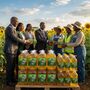 Tanzania Organic refined sunflower oil wholesale bulk exporters