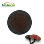 Reishi Mushroom Extract Powder, Natural Herbal Extract, Dietary Supplement 