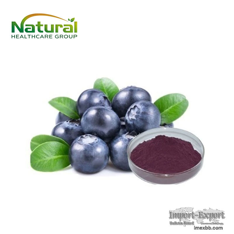 Bilberry Extract Powder, Natural Plant Extract, Herbal Supplement Ingr